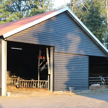 Vakantiehuis Logeerderij Het Landleven Met Jacuzzi En Sauna Achterhoek