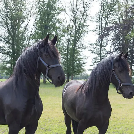 Logeerderij Het Landleven Met Jacuzzi En Sauna Achterhoek בית נופש Vragender