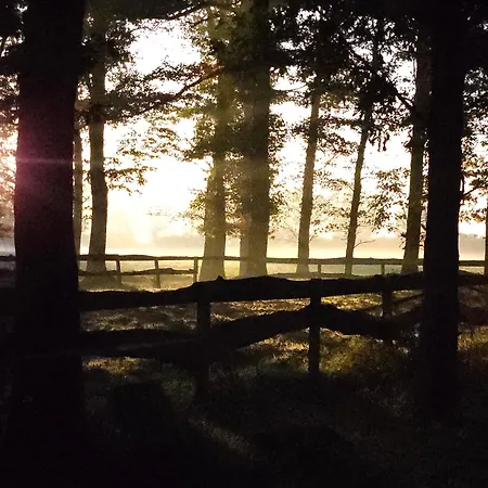 Logeerderij Het Landleven Met Jacuzzi En Finse Sauna Achterhoek بيت للعطل *