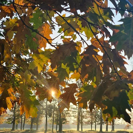 Logeerderij Het Landleven Met Jacuzzi En Sauna Achterhoek Vragender