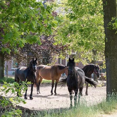 بيت للعطل Logeerderij Het Landleven Met Jacuzzi En Finse Sauna Achterhoek