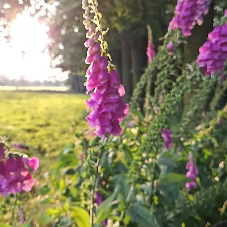 Logeerderij Het Landleven Met Jacuzzi En Sauna Achterhoek