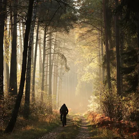 Tatil Evi Logeerderij Het Landleven Met Jacuzzi En Finse Sauna Achterhoek *