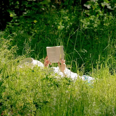 Casa de Férias Logeerderij Het Landleven Met Jacuzzi En Sauna Achterhoek