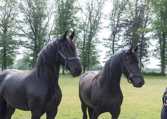 Logeerderij Het Landleven Met Jacuzzi En Sauna Achterhoek Vakantiehuis Vragender