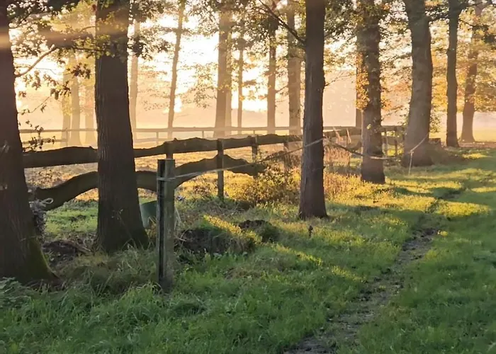 Logeerderij Het Landleven Met Jacuzzi En Finse Sauna Achterhoek Holiday home Vragender