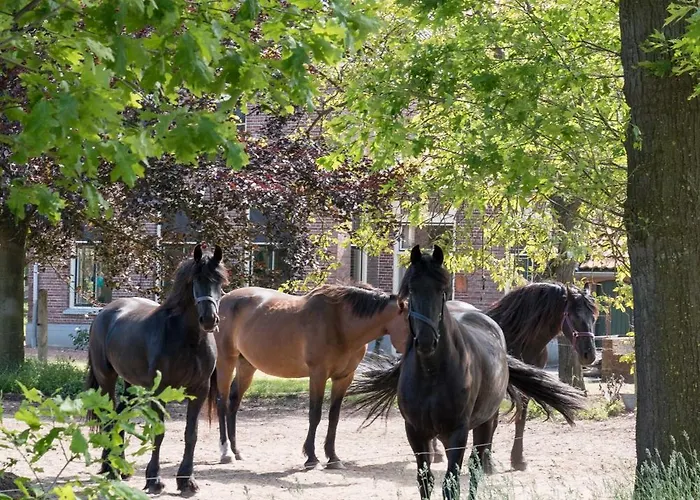度假居 Logeerderij Het Landleven Met Jacuzzi En Finse Sauna Achterhoek