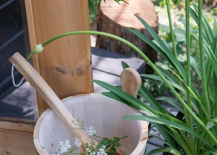 Logeerderij Het Landleven Met Jacuzzi En Finse Sauna Achterhoek Vragender