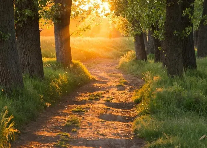 Logeerderij Het Landleven Met Jacuzzi En Sauna Achterhoek Vakantiehuis *
