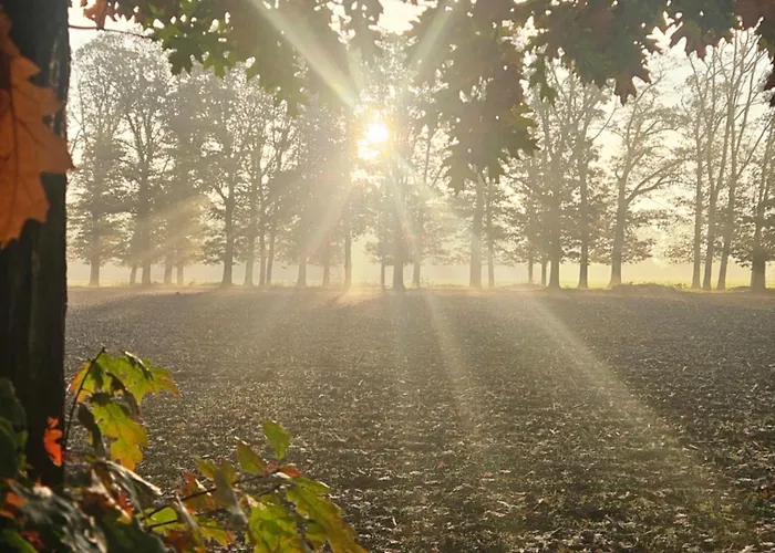 Holiday home Logeerderij Het Landleven Met Jacuzzi En Finse Sauna Achterhoek