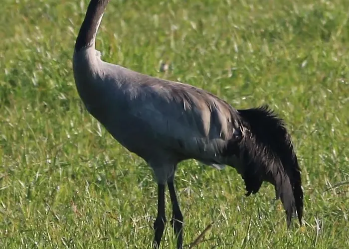 Logeerderij Het Landleven Met Jacuzzi En Finse Sauna Achterhoek