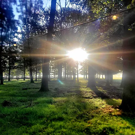 Semesterbostad Logeerderij Het Landleven Met Jacuzzi En Sauna Achterhoek Vragender