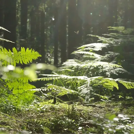 Logeerderij Het Landleven Met Jacuzzi En Sauna Achterhoek Semesterbostad Vragender