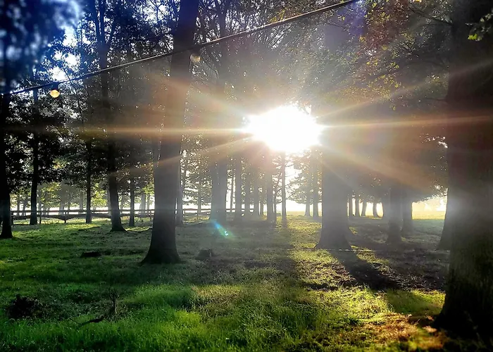 Semesterbostad Logeerderij Het Landleven Met Jacuzzi En Sauna Achterhoek Vragender