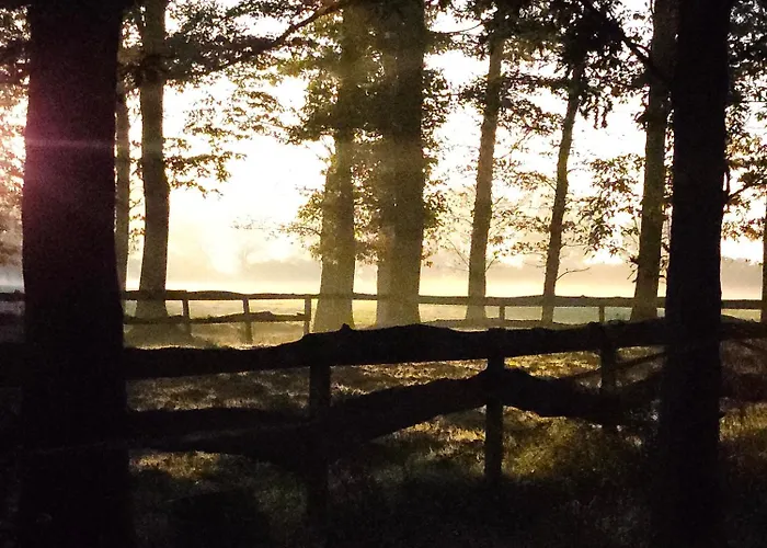 Logeerderij Het Landleven Met Jacuzzi En Finse Sauna Achterhoek 別荘 *