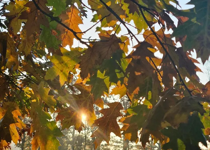 Logeerderij Het Landleven Met Jacuzzi En Sauna Achterhoek Vragender