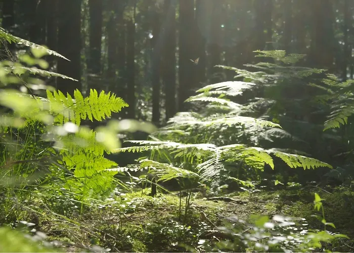Logeerderij Het Landleven Met Jacuzzi En Sauna Achterhoek Semesterbostad Vragender